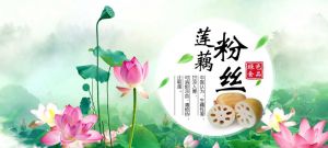 湛江赤坎区方焘网络技术有限公司 - 湛江小程序,湛江微信运营,湛江小程序开发公司,湛江微商城,湛江包装设计,湛江百度推广,湛江品牌策划,湛江网站建设 - 方焘网络首页